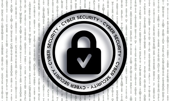 cyber-security-gbddc71dda_640